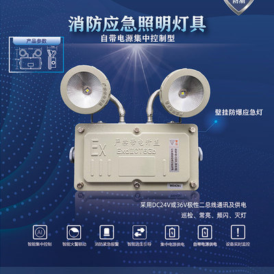 双头灯-防爆