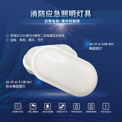 应急照明灯具-椭圆壁灯