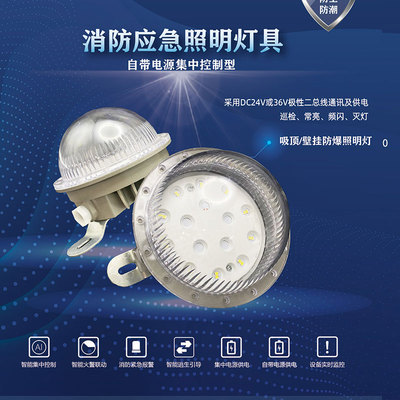应急照明灯具-防爆